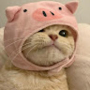 Meet your Posher, Valerie